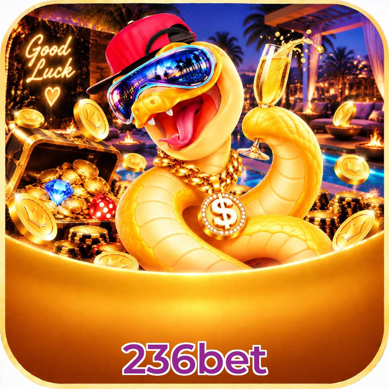 236bet App vs Web